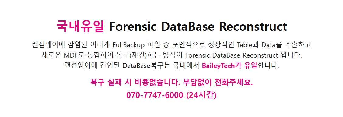 가상화 솔루션 VHDX 랜섬웨어 복구, 이제 포렌식으로 해결하세요! 복구 자료 10