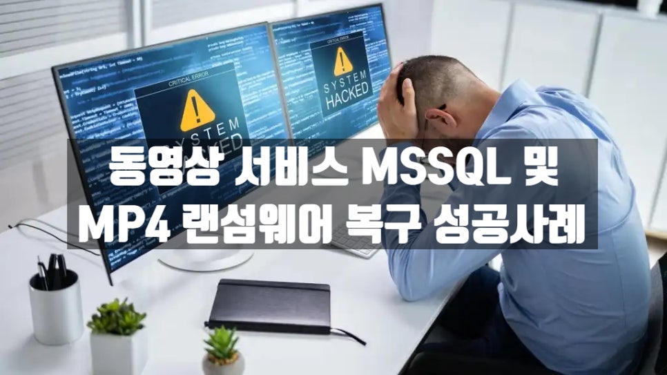 동영상 서비스 MSSQL 및 MP4 랜섬웨어 복구 성공사례 복구 자료 1