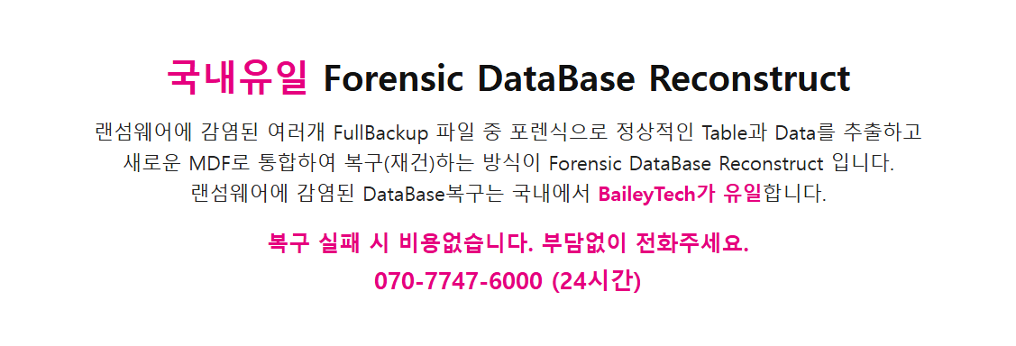 동영상 서비스 MSSQL 및 MP4 랜섬웨어 복구 성공사례 복구 자료 9