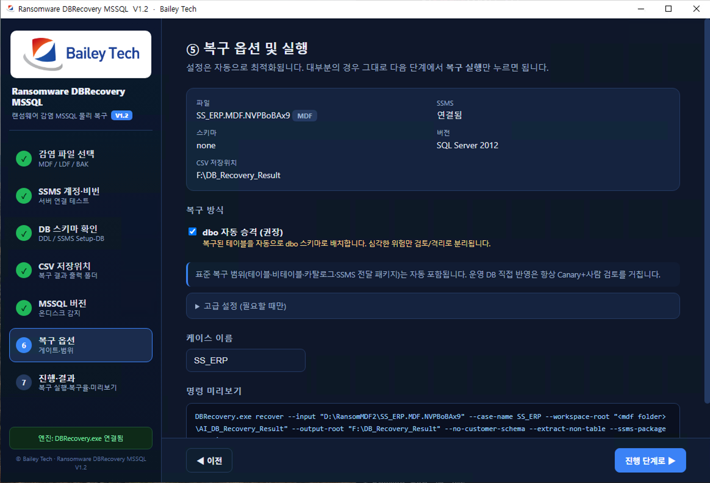 복구 옵션 및 명령 미리보기